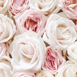 Meet your Posher, Dargys